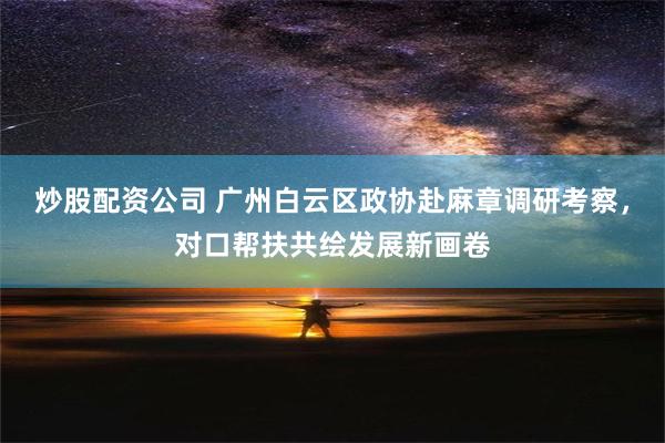 炒股配资公司 广州白云区政协赴麻章调研考察，对口帮扶共绘发展新画卷